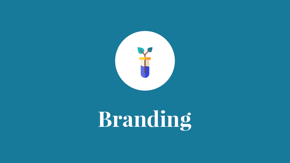 Best Branding Courses to Learn Branding in 2026