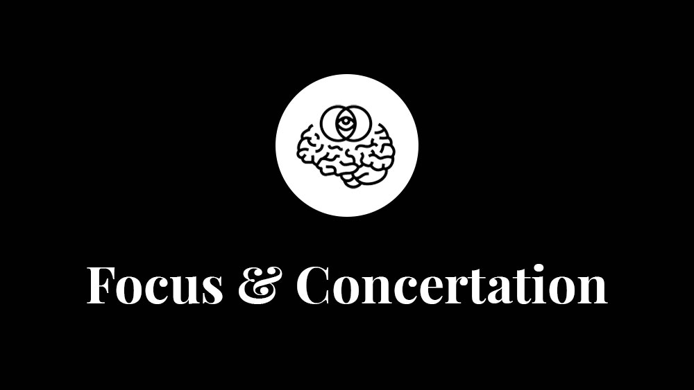 Best Focus & Concentration Courses 2026