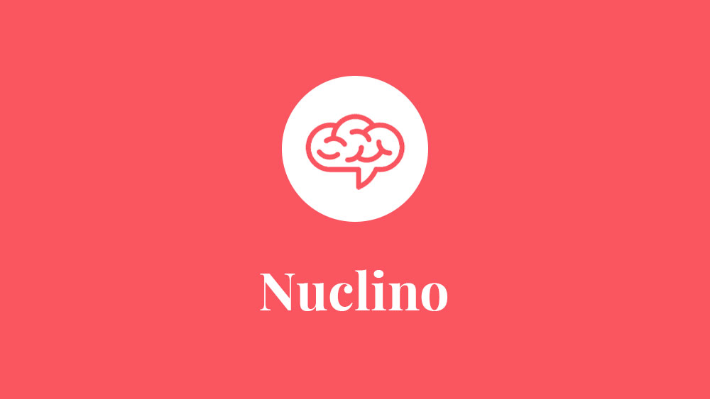 Best Nuclino Courses to Learn Nuclino in 2026