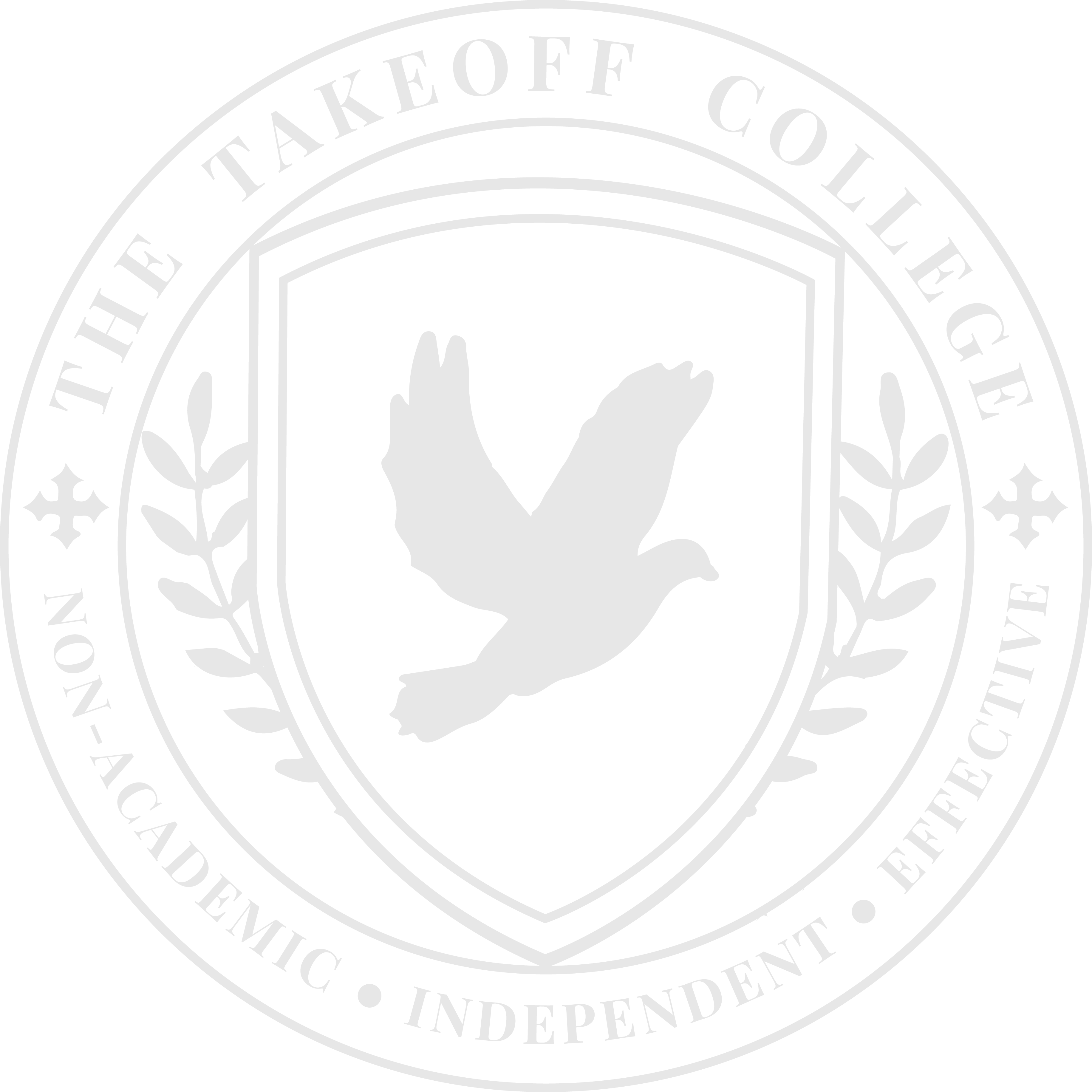 The Takeoff College